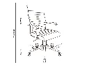 171686_s14_c0b99.webp