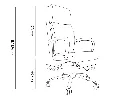 168413_s4_c3e6b.webp