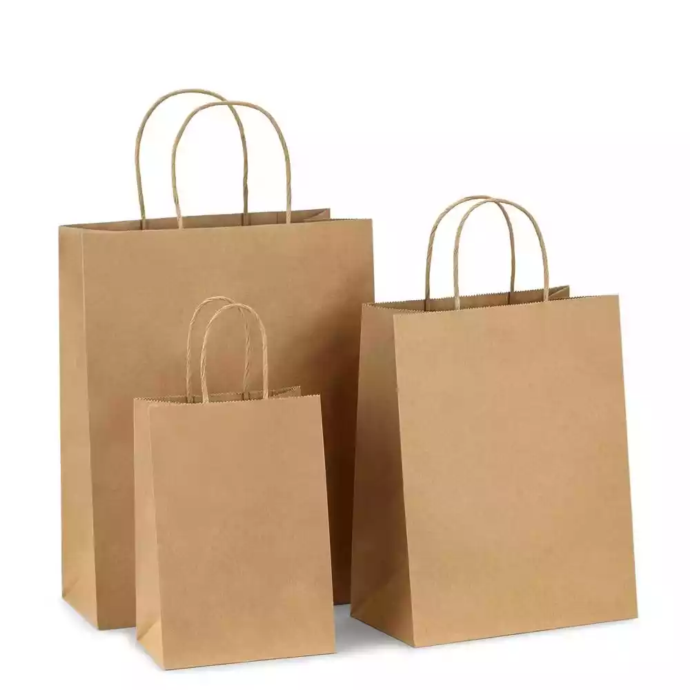 Bolsa de papel kraft liso de 100g