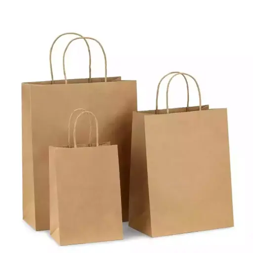 Bolsa de papel kraft liso de 100g